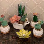 Ensemble de mini cactus