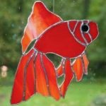 Koi japonaise