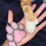 Patte de chat