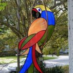 Toucan